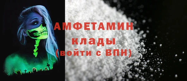 ГАЛЛЮЦИНОГЕННЫЕ ГРИБЫ Строитель