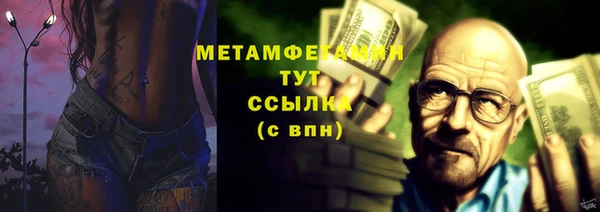 ГАЛЛЮЦИНОГЕННЫЕ ГРИБЫ Строитель