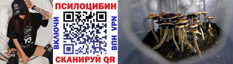 Галлюциногенные грибы ЛСД  Новосокольники 